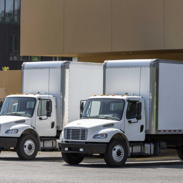 Express Delivery Services